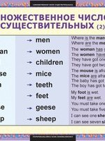 Множественное число существительных в английском языке